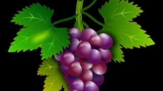 Thumbnail of post image 043